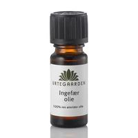 Urtegaarden - Ginger Oil - 10 ml