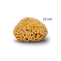 Cocoon Organic Laundry Honey svamp - 12 cm