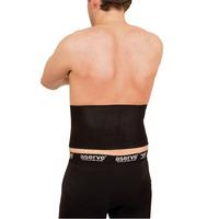 Aserve Ländryggstöd