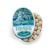 Biogan Anis pastiller eucalyptus eko - 50 g