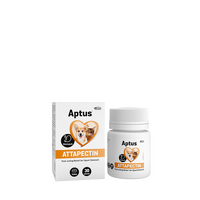 Aptus Attapectin Tabletter - 30 st