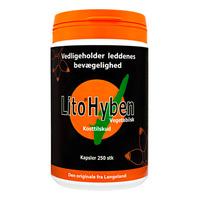 Lito Hyben Vegetabiliska Kapslar - 250 kapslar