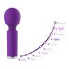Intimia Mini Wand Vibrator - 1 st
