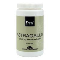 Natur-Drogeriet Astragalus - 90 kapslar